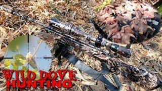 P2 - WiLD DoVE HuNTiNG catch&cook