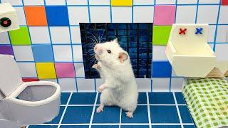 Hamster escapes from Prison in the Bathroom Maze 
