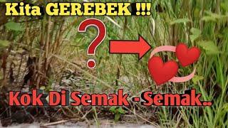 VIRALKAN NGINTIP YANG LAGI DI SEMAK - SEMAK  LANGSUNG DI GEREBEK