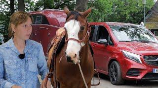 Tierärzte konnten ihm nicht helfen – Quarter Horse mit Hustenanfällen und Rittigkeitsproblemen