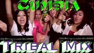 Cumbia Tribal 2020 Especial Mix-Dj Martinez Gto