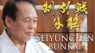 Karate Kata  Seiyunchin Bunkai  Follow along with a Grand Master  Ageshio Japan