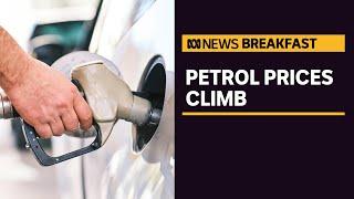 Fuel excise cut erased as average petrol prices rise  ABC News