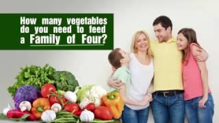 Aquaponics - How Big to Feed a Family of Four?