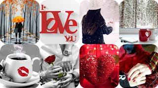 Romantic Love Dp With Red RoseStylish Hide face Girls DpLove DP For WhatsAppCouples Dp