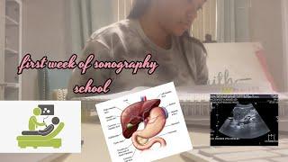 *Realistic* First Week Of Sonography School  Nikki Harrison