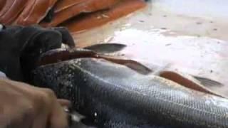 Разделка рыбы. Филе лосося за 20 секунд