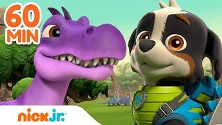 Rex Leads the PAW Patrol on Dinosaur Rescues  w Chase & Skye  60 Minute Compilation  Nick Jr.