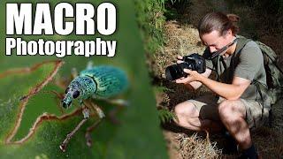 Creepy Crawly Photography Vlog - Sigma 105mm f2.8 + Canon 7d mark ii