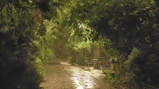  Soothing and Relaxing Rain in the Old Park at Night - 10 Hours for Relaxation Sleep & Study - 4K