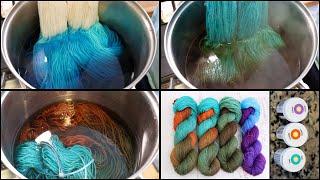 Dyepot Weekly #524 - Dip Dyeing in Food Coloring  Dyeing Colors 1 @ a Time vs Combined for Breaking