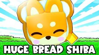 FINALMENTE ME HA SALIDO HUGE BREAD SHIBA del MUNDO HARDCORE  Roblox Pet Simulator X