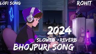 Seyan bhailu lofi Remix Song Neelkamal Singh Song Seyan bhailu Slowed+Reverb Remix Song