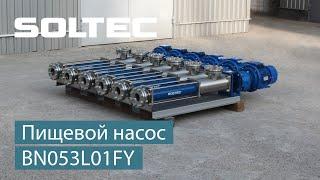 Пищевой насос SOLTEС ® BN053L01FY для перекачивания патоки