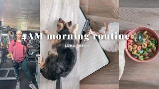 My 4 AM Morning routine  Luna peech