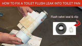 How to Fix a Toilet Flush Water Leaking into Toilet Pan. Flush Valve Seal & Clip for Armitage Shanks