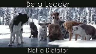 Be a leader  best motivational video status whatsapp status videomotivational videobe a wolf