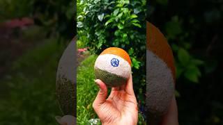 India flag on Woodapple#trending#youtubeshorts#viral#india#indianflag#indian#craft#ball#video#shorts