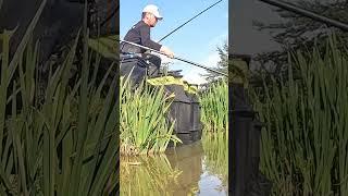 The Shallow Fishing MASTER  Full LIVE MATCH live for all channel members now  # matchfishing