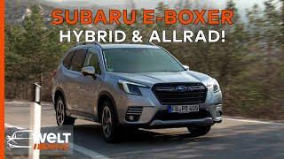 Subaru Forester e-BOXER Review Hybrid-Technologie im Praxistest  WELT DRIVE Magazin