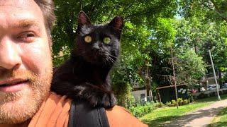 Black cat climbed on my shoulder and we took a hike