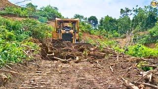 Effective Techniques for Leveling Plantation Roads and Slopes with the D6R XL Bulldozer