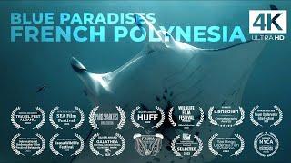 Diving FRENCH POLYNESIA - Tahiti - Underwater Video 4K - BLUE PARADISES S01