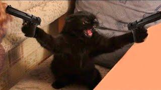 New Funniest Cats And Dogs Videos  Best Of The 2023 Funny Animal Videos  - Cutest Animals Ever