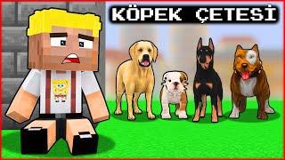 EFEKANS DOG RUN AWAY FROM HOME AND JOINED THE DOG GANG  - Minecraft