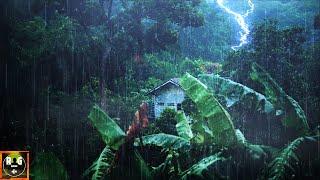 Rainforest Ambience Rain Sounds Jungle Animals and Thunder in the Distance  Relaxing Sleep Sounds