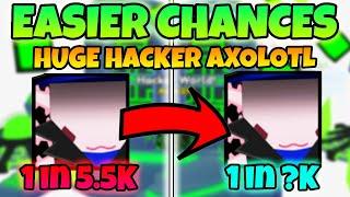 CHANCES GOT *EASIER* FOR THE HUGE HACKER AXOLOTL In Pet Simulator 99