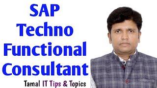 What is SAP Techno-Functional Consultant  More than one SAP modules to learn  SAP Training  HANA