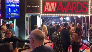 AVN Awards 2019 Red Carpet. Part 1