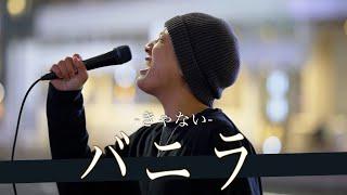 【歌詞付】イケメンすぎる路上ライブシンガーが歌も上手なんて反則じゃない? バニラ  きゃない【新宿路上ライブ-23.1.27】by 高橋一輝