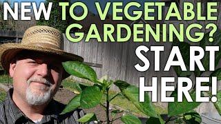 Absolute Beginners Guide to Starting a Vegetable Garden  Black Gumbo