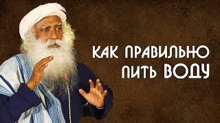 Как правильно пить воду и сколько нужно потреблять воды? Садхгуру на Русском