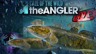 LIVEFishing For The New LEGENDARY & More  Call of The Wild The Angler.