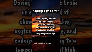 Funny Seks Facts #love #shorts