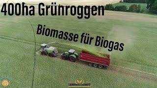 400ha Grünroggen häckseln LU Agrar Altdöbern Landwirtschaftlicher Lohnauftrag Biomasse für Biogas