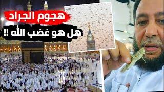 انتشار الجراد في مكة و المسجد النبوي الشريف، هل هو غضب الله الداعية حسن البكري يوضح...