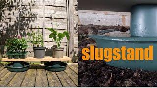 The slugstand slug and snail barrier stopping slugs from getting to plants
