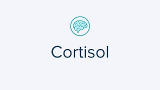 Cortisol Test for Fatigue Weight Change & Measure Adrenal PerformanceStress