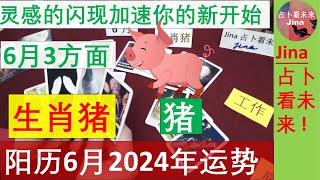 生肖猪阳历6月2024年 灵感的闪现推动并加速你一切新的开始的到来阳历2024年六月在工作 财富 感情上3方面的趋势 发布于2024年5月31日