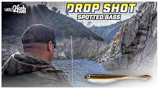 How to Catch Spotted Bass  Drop Shot Rig Steep Walls