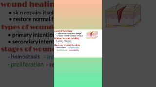 Wound healing types of wound healing stages of wound healing medical shorts pharmacology shorts