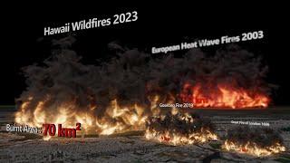 Wildfire Size Comparison