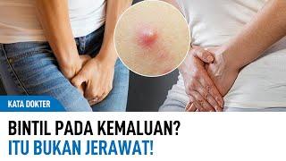 Bintil Pada Kemaluan? Itu Bukan Jerawat  Kata Dokter