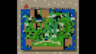 SMW Custom Level Venting Sensation Casual Blind