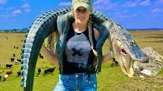 Alligator throws up baby Cow  Hunting to help the Cattle Ranchers