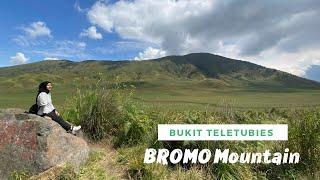 Wisata Bukit Teletubbies Bromo Mountain